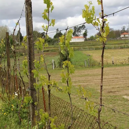 Branca Barreiros Al98139 4* Barreiros (Amares)