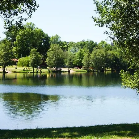 Alojamento de Acomodação e Pequeno-almoço Branca Barreiros Al98139