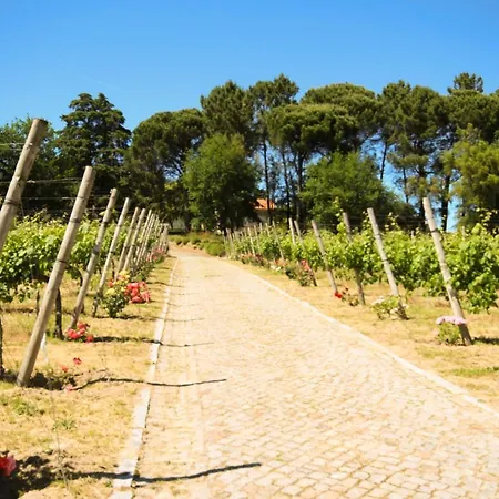 Branca Barreiros Al98139 4*