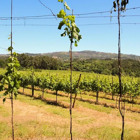 Alojamento de Acomodação e Pequeno-almoço Branca Barreiros Al98139 4*