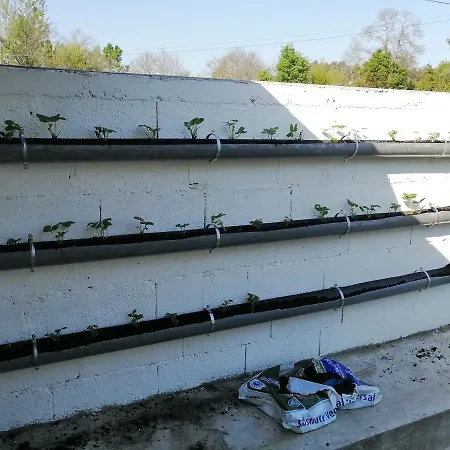 Alojamento de Acomodação e Pequeno-almoço Branca Barreiros Al98139