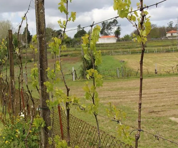 Branca Barreiros Al98139 4* Barreiros (Amares)