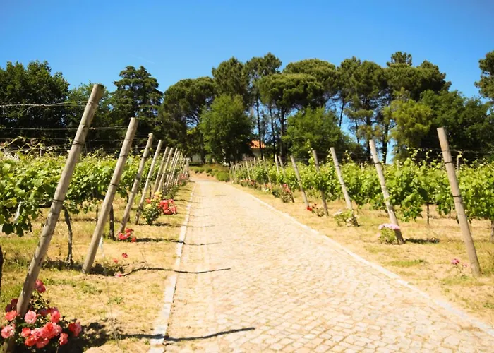 Branca Barreiros Al98139 4*