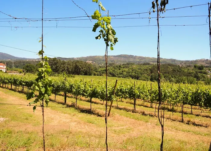 לינה וארוחת בוקר Branca Barreiros Al98139 4*