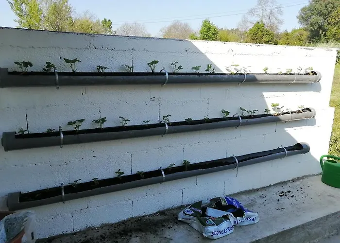 לינה וארוחת בוקר Branca Barreiros Al98139